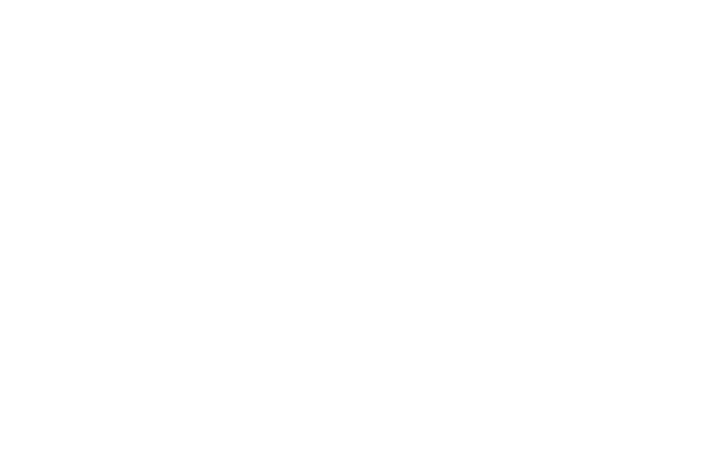 logo ACE esports the best in the world